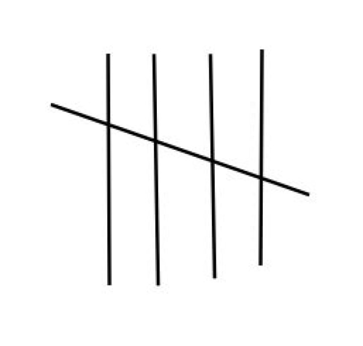 5 tallies