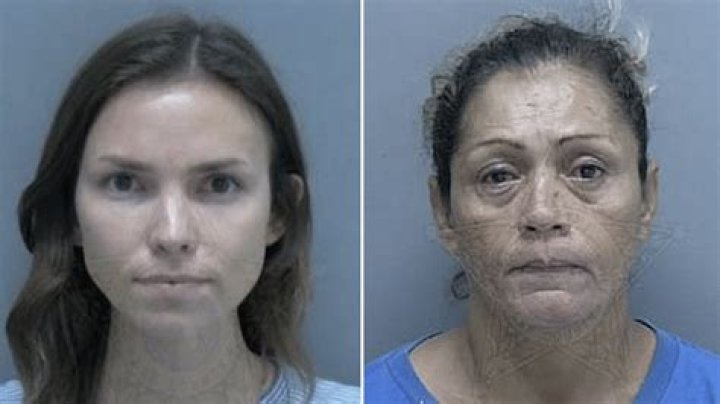 Annika Olson Arrest And Mugshot: Florida Woman In Jail