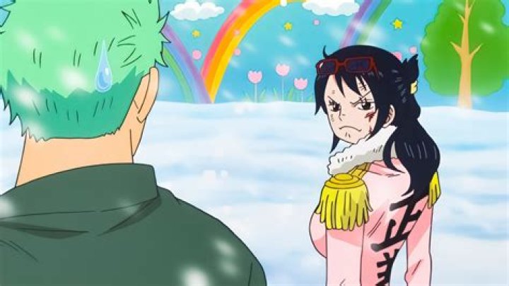 Does Zoro Like Robin? Is She His Love Interest?